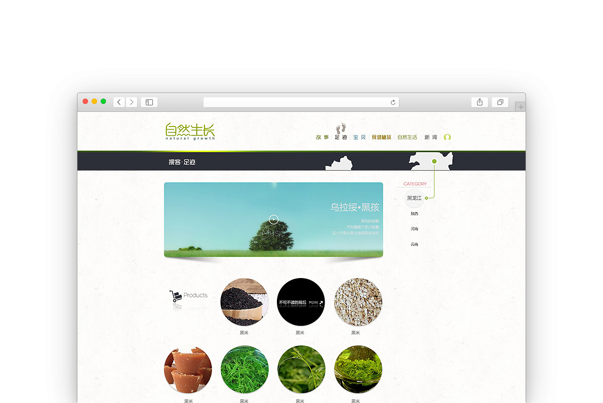 自然生長 品牌網站設計與制作的生態(tài)哲學